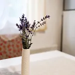 Apartment Menta Mezokovesd