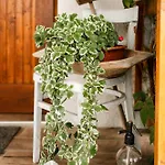 Menta Apartment