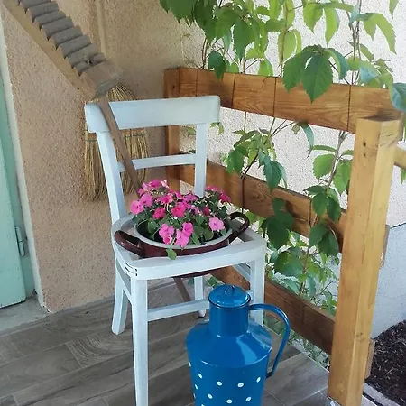 Menta *