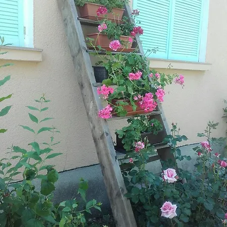 Menta Daire Mezőkövesd