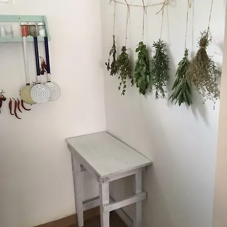 Menta Mezőkövesd