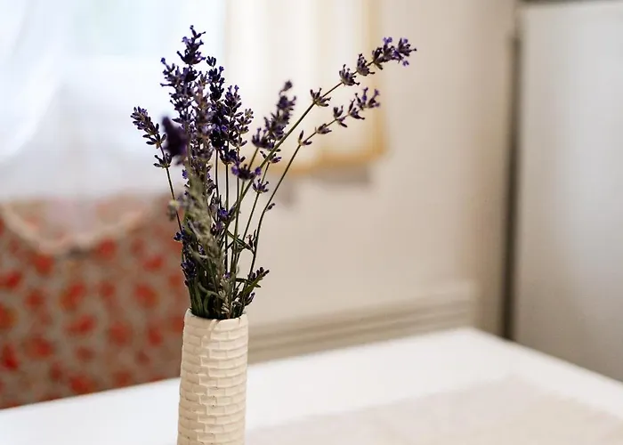 Apartment Menta Mezokovesd