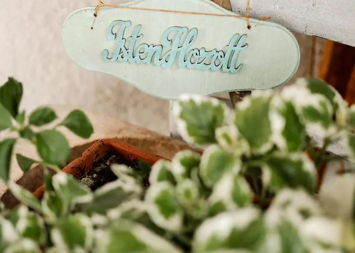 Menta Lägenhet Mezőkövesd